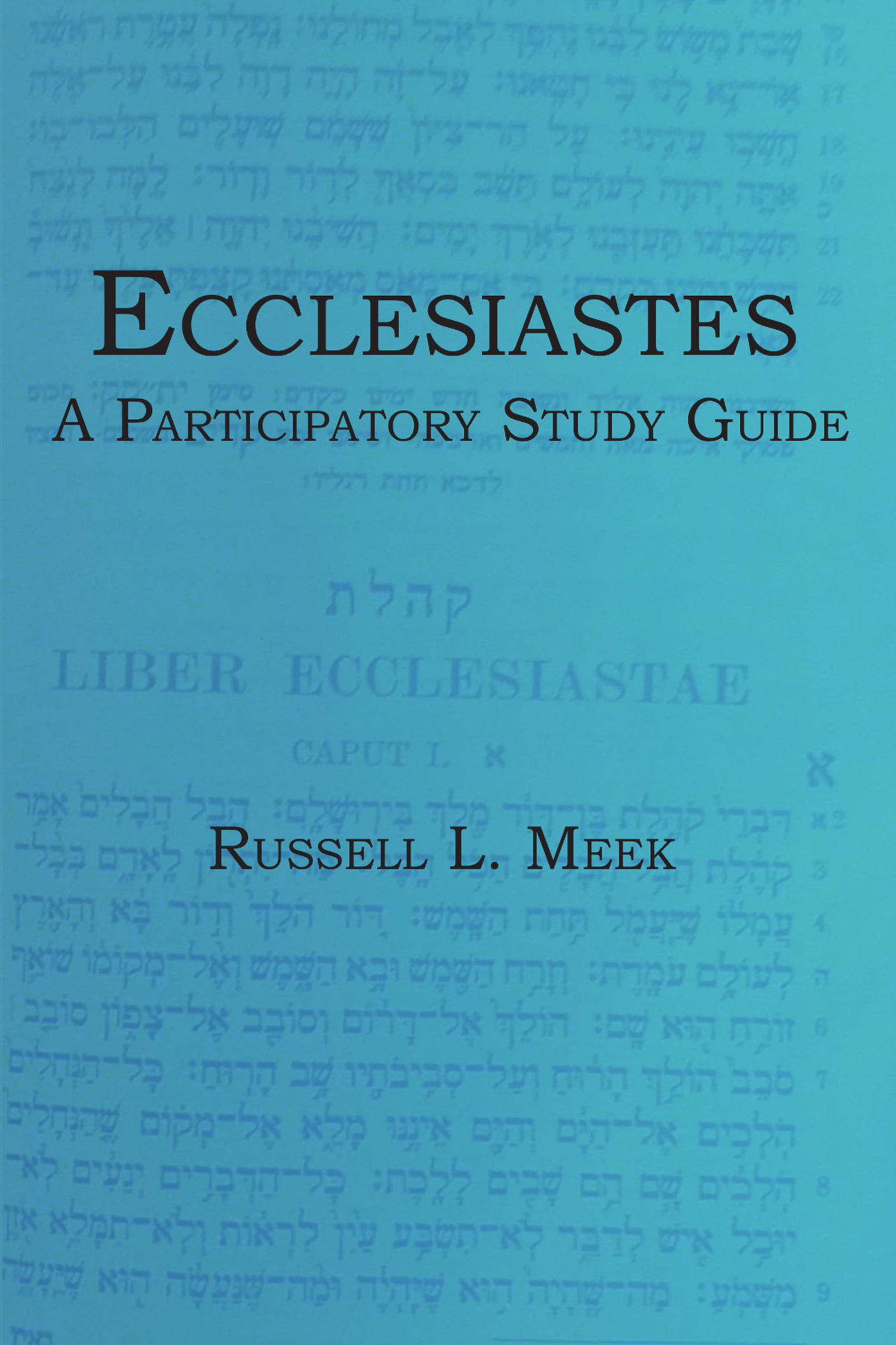 Ecclesiastes Participatory Study Guide